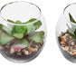 Jarrones redondos de Vidrio con planta suculenta artificial, 4 piezas